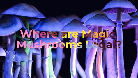 The Potential Risks and Side Effects of Magic Mushroom Use